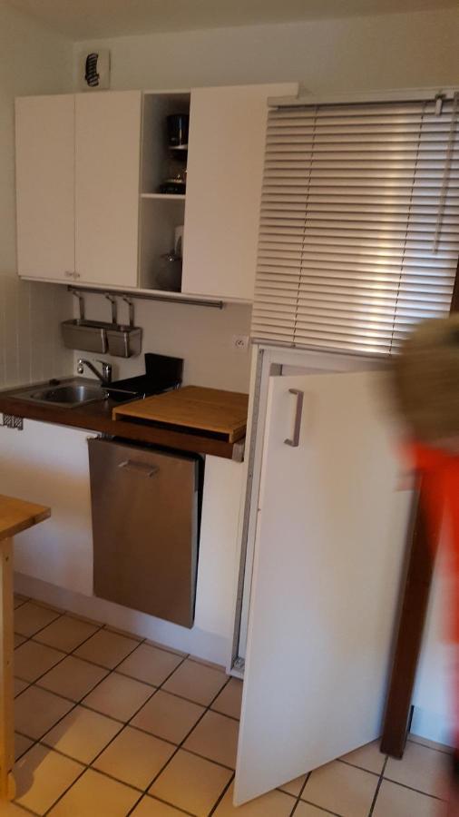 Studio 4 Personnes Samoëns Kültér fotó